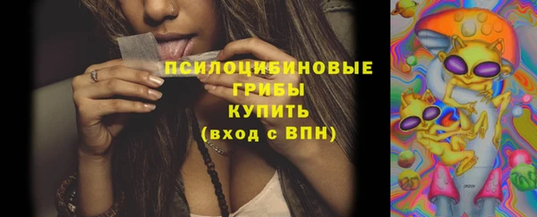 стафф Нефтегорск