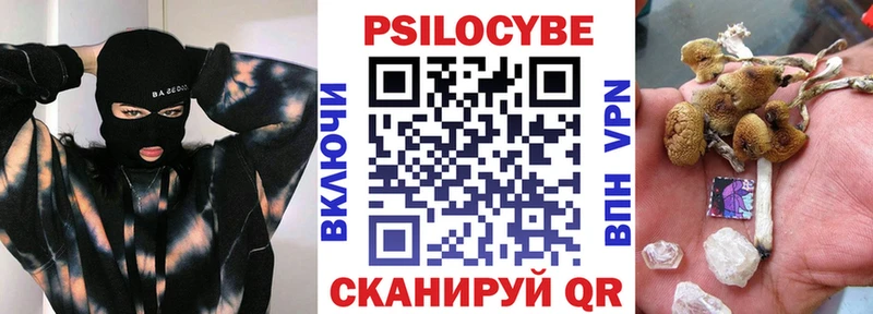 Псилоцибиновые грибы Cubensis Валуйки